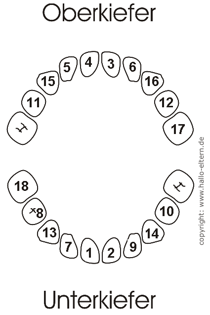 Zahnkalender Lars Schmeling